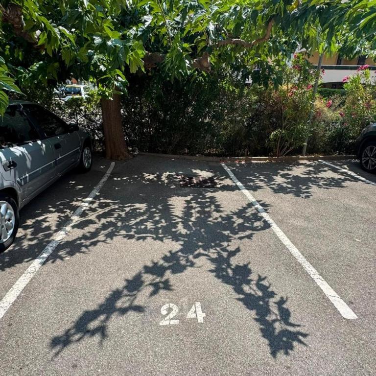 Studio cote B Terrasse Parking Frejus Plage - Studio avec Balcon - 18