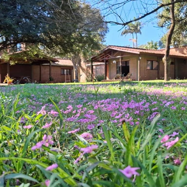 Cabañas Lodge el Suizo 2 - One-Bedroom Chalet - 32