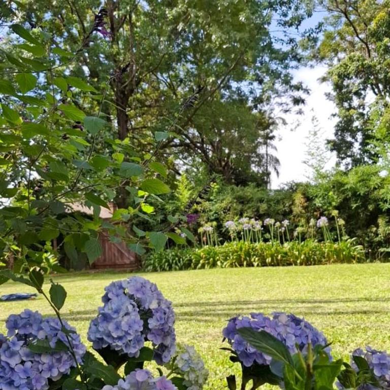 Cabañas Lodge el Suizo 2 - One-Bedroom Chalet - 60