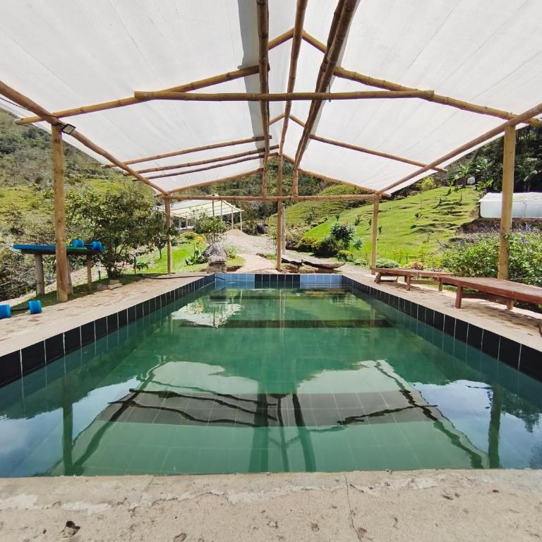 Finca AVALON Alejandria Antioquia - Bungalow - 5