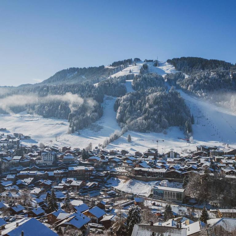 Chalet moderne à Morzine, 12 pers, 5 ch, proche centre - FR-1-754-88 - Chalet - 21