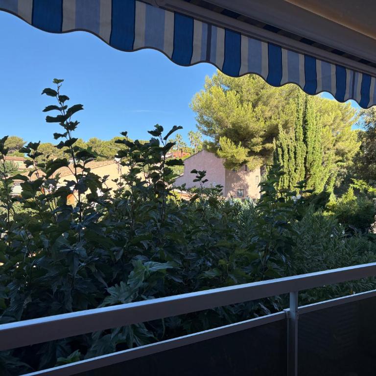 Mer et soleil - Appartement 1 Chambre - 22
