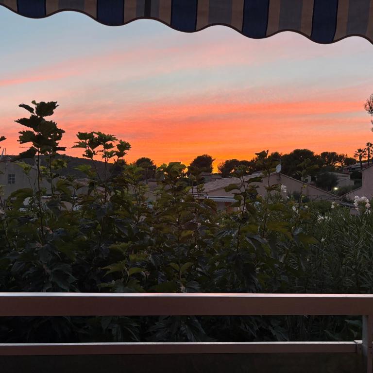 Mer et soleil - Appartement 1 Chambre - 23
