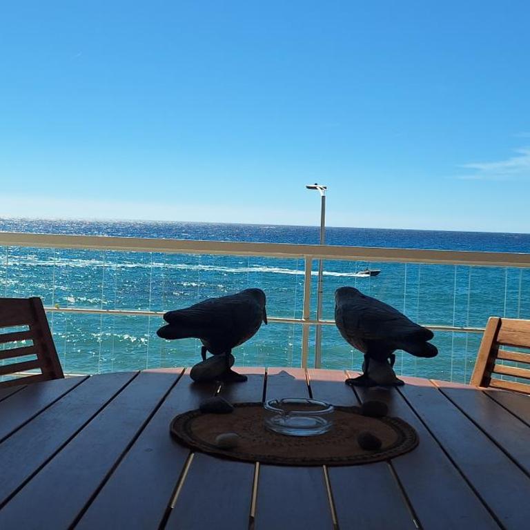 Splendide studio front de mer - Appartement 1 Chambre - 50