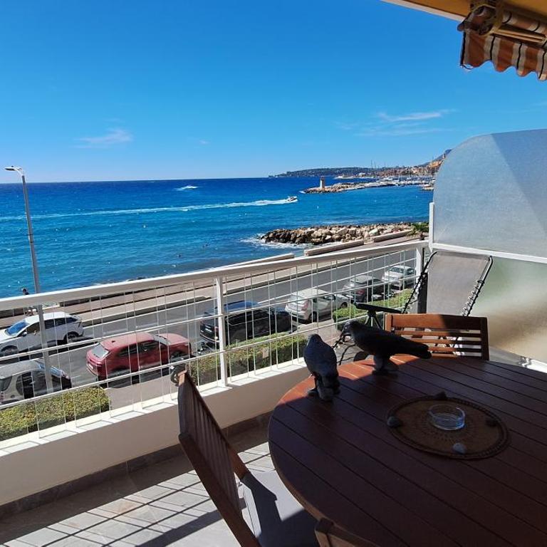 Splendide studio front de mer - Appartement 1 Chambre - 4