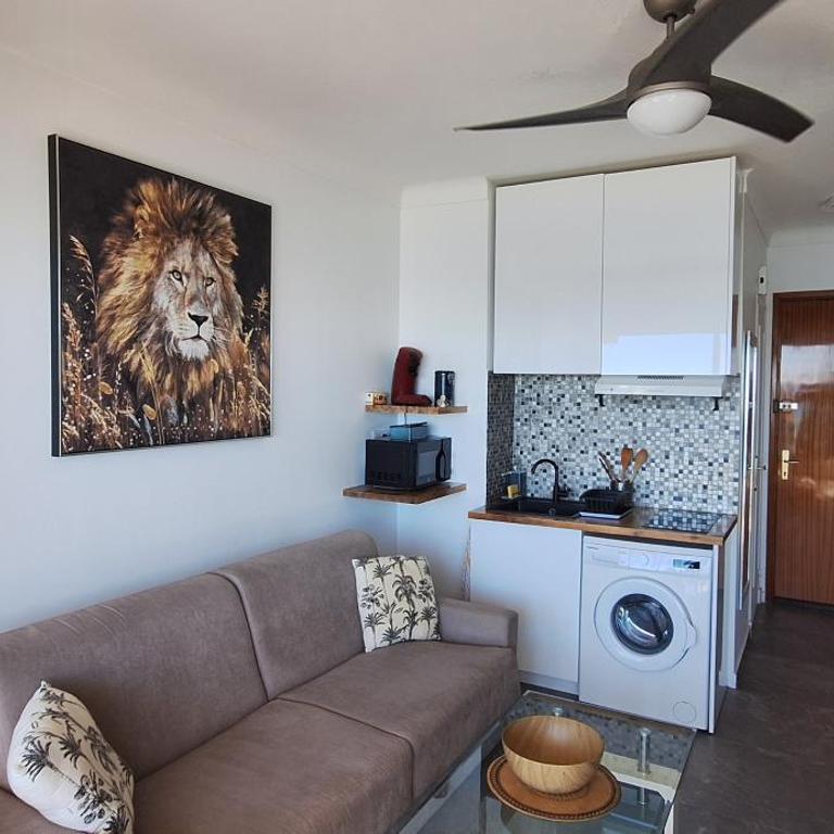 Splendide studio front de mer - Appartement 1 Chambre - 19