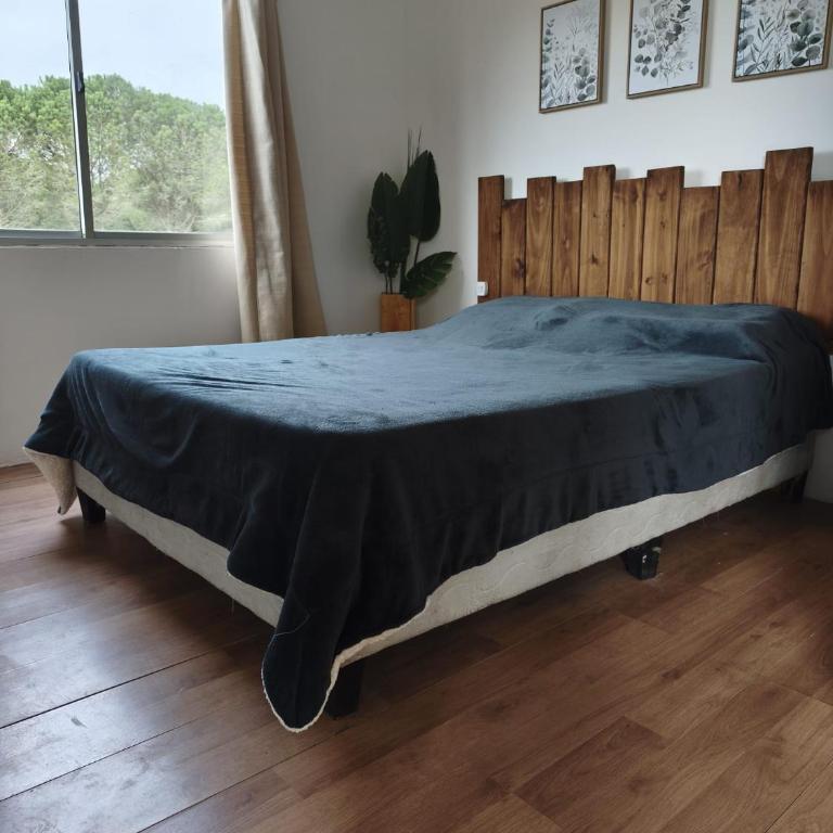 Eco refugio Mayjora dúo - Apartamento de 1 dormitorio - 6