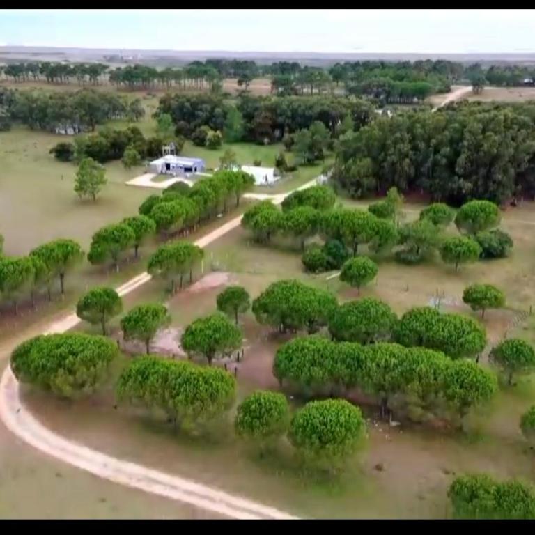 Eco refugio Mayjora dúo - Apartamento de 1 dormitorio - 13