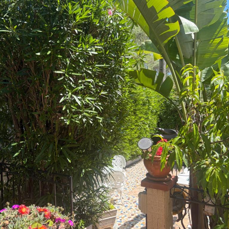 Grand Appt 6P climatisé dans villa avec piscine - 8 kms de Cannes - Appartement 2 Chambres - 59
