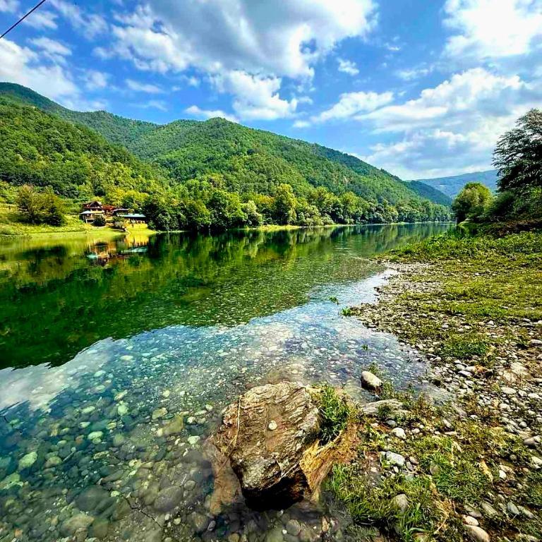 Drinska Dama - Kuća sa 3 Spavaće Sobe - 3