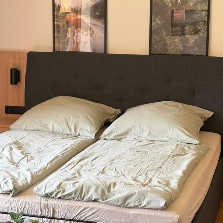 FeWo Lärchenalp - Apartment mit 2 Schlafzimmern - 23