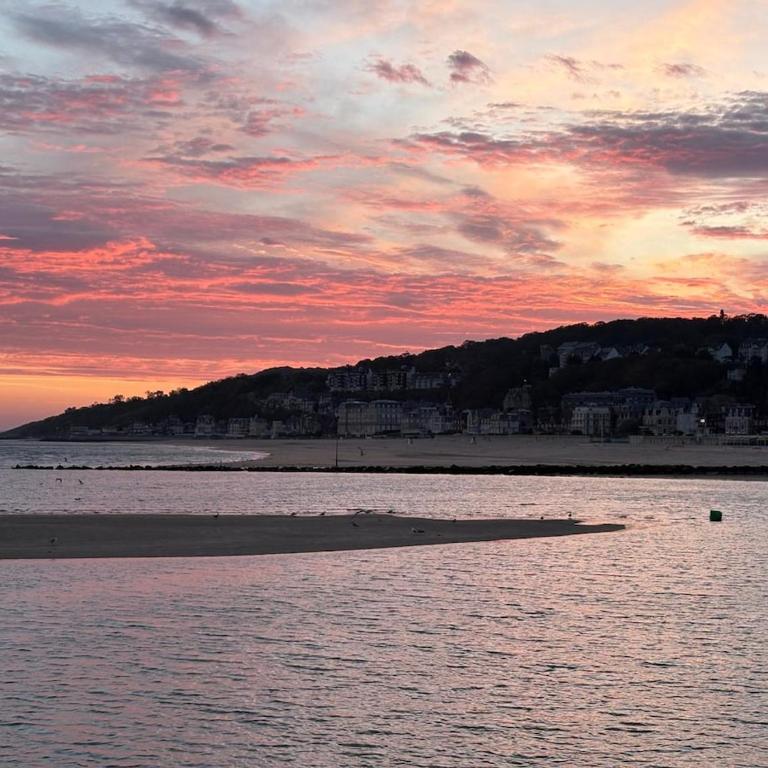 Marina Deauville Logement Cosy - Parking - Appartement 1 Chambre - 12
