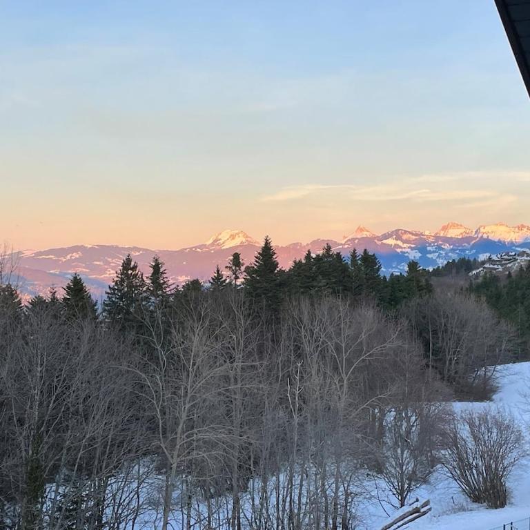 Belle appartement avec cheminée près des pistes - Appartement 2 Chambres - 17