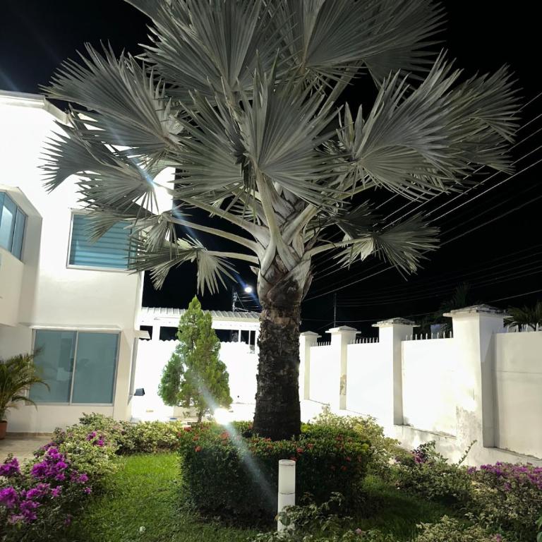 Casa Privada, piscina, Pet Friendly, BBQ Area - Villa - 15
