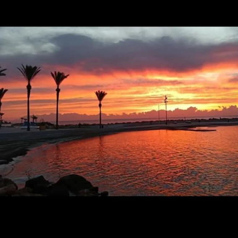 Spacious studio, terrace, pool, elevator, beaches - Apartamento de 1 dormitorio - 7