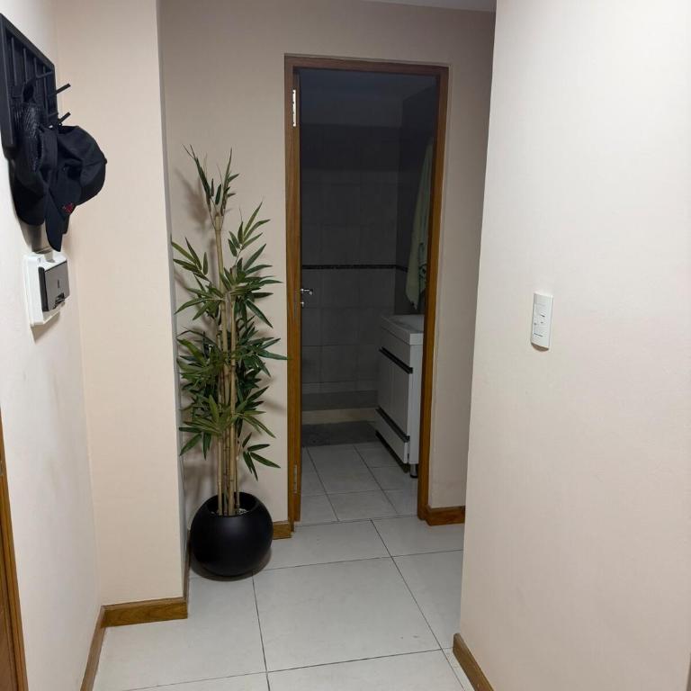 Departamento entero San Rafael Mendoza - One-Bedroom Apartment - 3