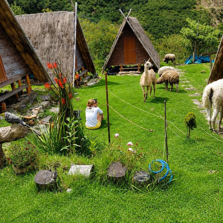 Llama Wasi Andean Cabins Chaullay - Double Room - 1