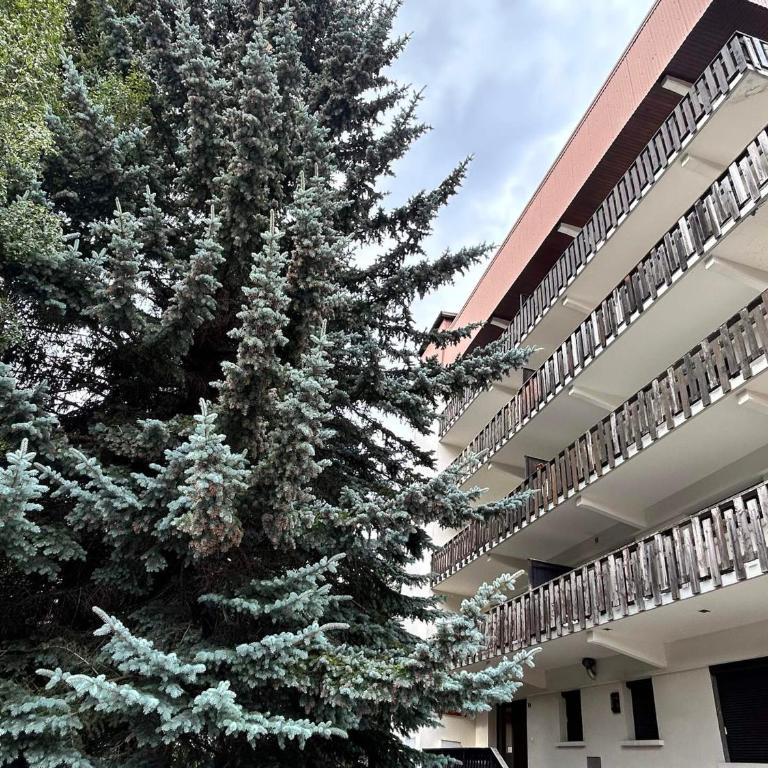 Appartement charmant au pied des pistes - 6 pers. - FR-1-905-17 - Appartement - 9