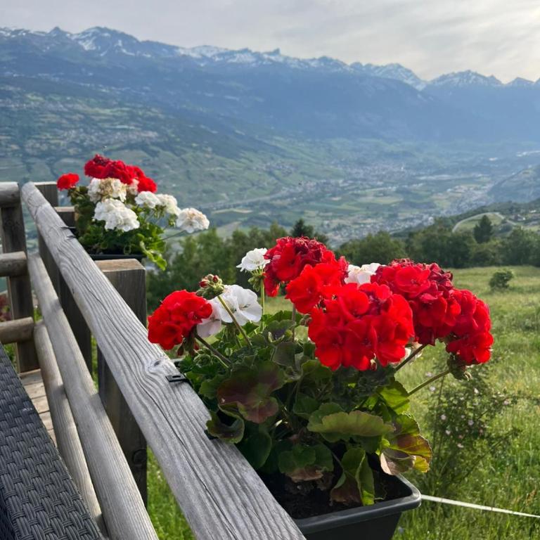 Chalet panoramique avec vue alpine à 180 degrés - poêle scandinave & nature - Chalet - 13