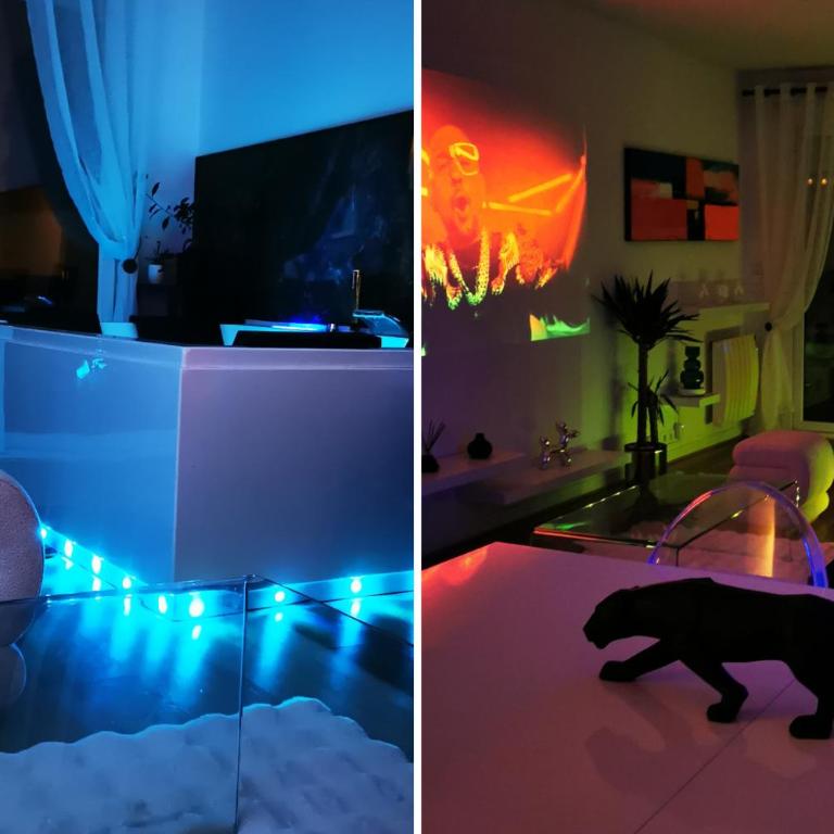 Secret garden SPA - Idéal couples et pros - 5min à pied de la gare - 10min à pied de l'Arena et du Quartier Boulingrin - Baignoire balnéo - Jardin privatif de 50m2 - Mini golf - Home cinéma - One-Bedroom Apartment - 10