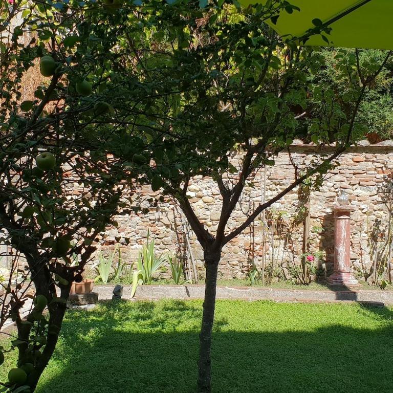 Gelso Bianco, Family Apt Town Center and Garden - Appartamento con 2 Camere da Letto - 15