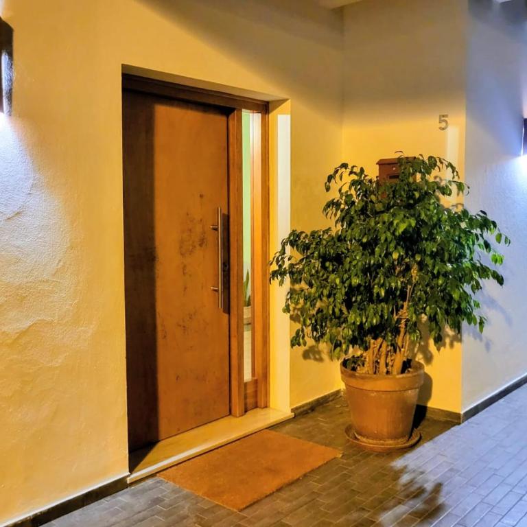 Family house with nice garden 10min from Sanlúcar - Casa de 3 dormitorios - 73