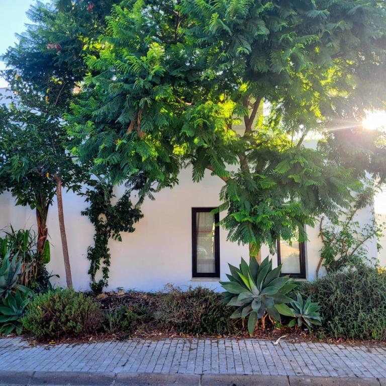 Family house with nice garden 10min from Sanlúcar - Casa de 3 dormitorios - 74