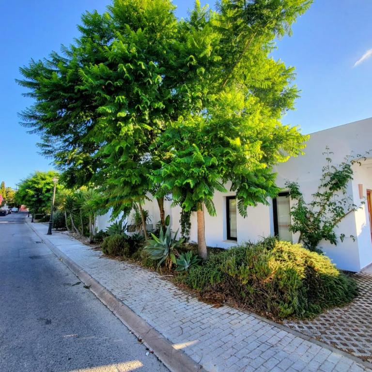 Family house with nice garden 10min from Sanlúcar - Casa de 3 dormitorios - 75