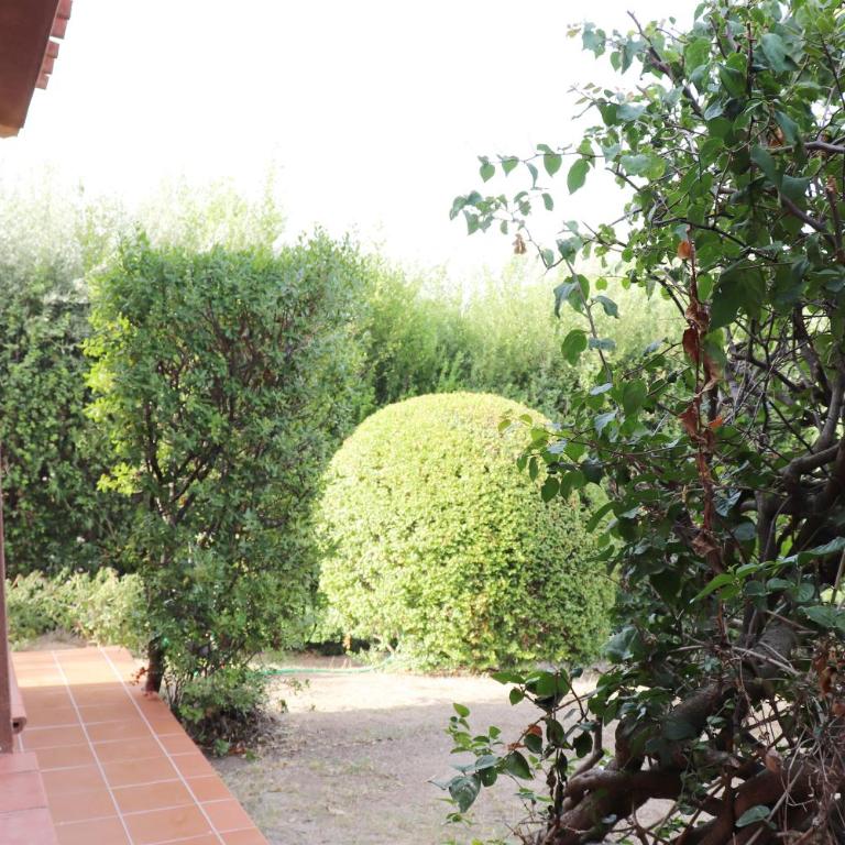 Casa via delle Poiane - Casa con 2 Camere da Letto - 10