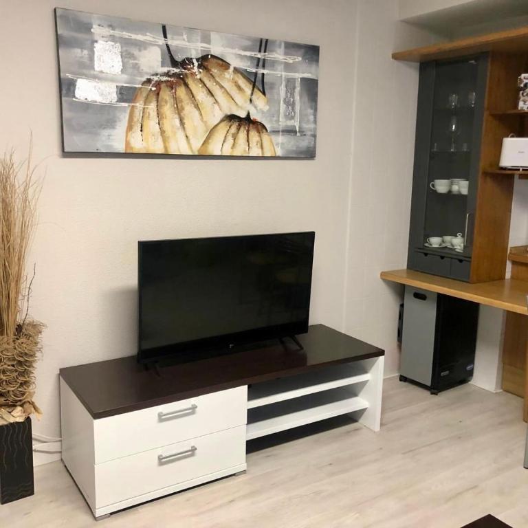 Sansoain Jaca - Two-Bedroom Apartment - 14