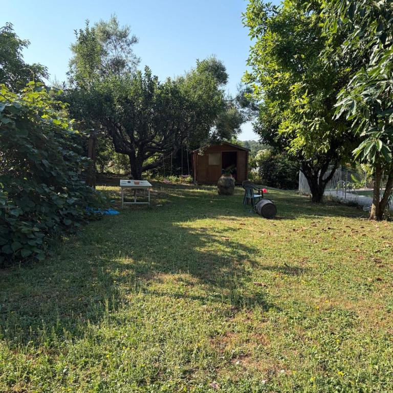 Charming Provençal Villa with Garden Views - Appartement 1 Chambre - 15