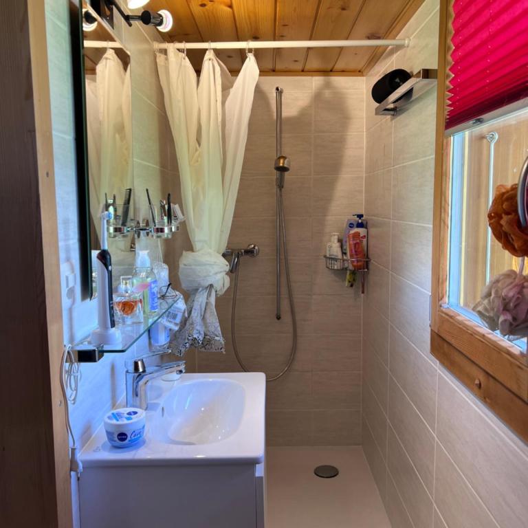 Petit chalet du leigier - Apartment mit 1 Schlafzimmer - 13