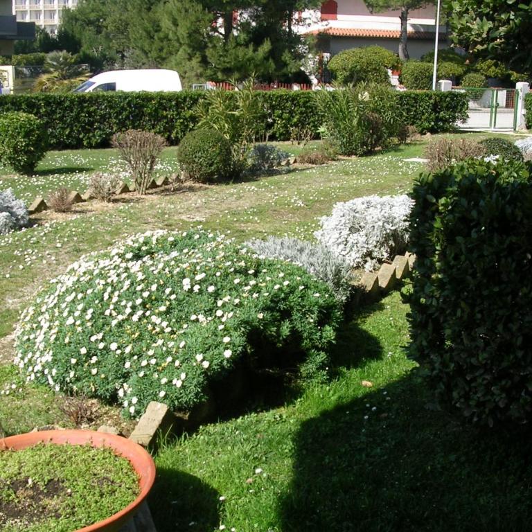 Oasi Mare - Double Room with Private Bathroom - 6