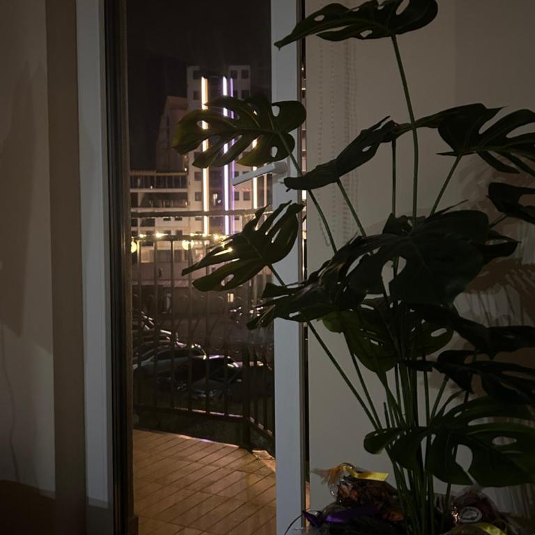 Apartman Lily - Apartment mit 1 Schlafzimmer - 2