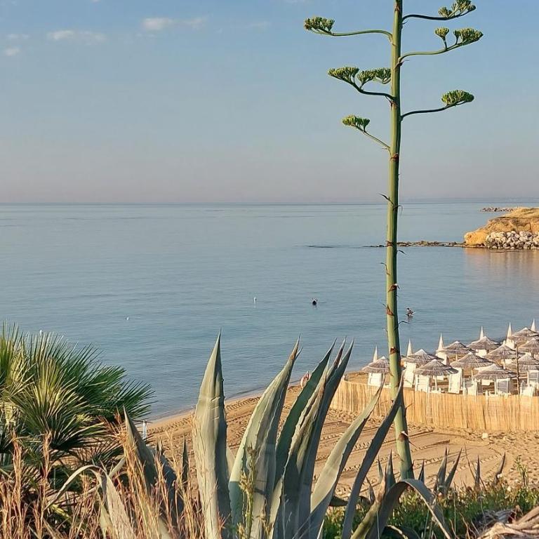 Galene Avola - Villa Fronte Spiaggia - 20