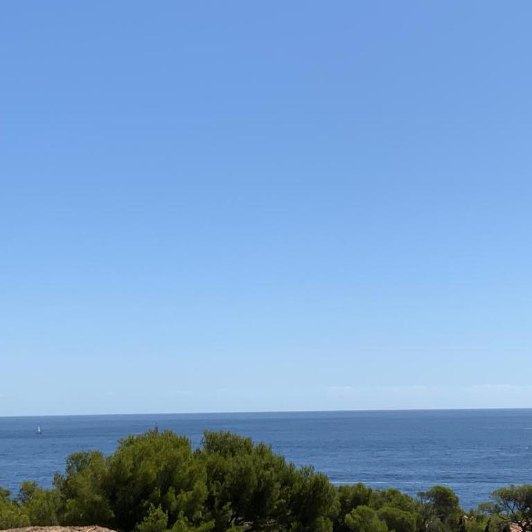 Paradis bleu - Appartement 1 Chambre - 3