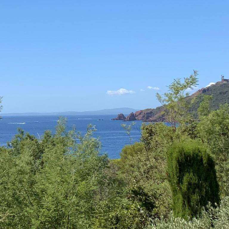 Paradis bleu - Appartement 1 Chambre - 18