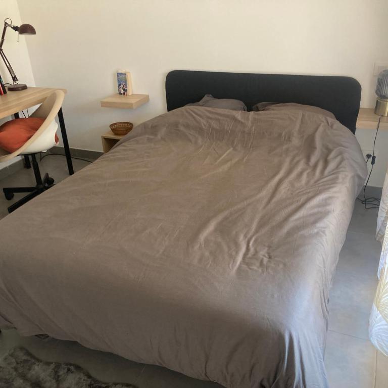 Appartement aux portes du Palais Longchamp - Appartement 1 Chambre - 5