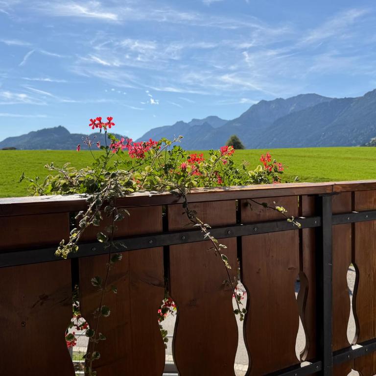 Ferienwohnung Enzian mit Bergblick - Apartment mit 1 Schlafzimmer, Balkon und Bergblick - 15