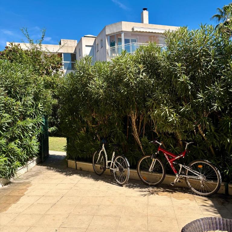 Le jardin de la mer, plage, jardin, parking , vélos - Appartement 1 Chambre - 34