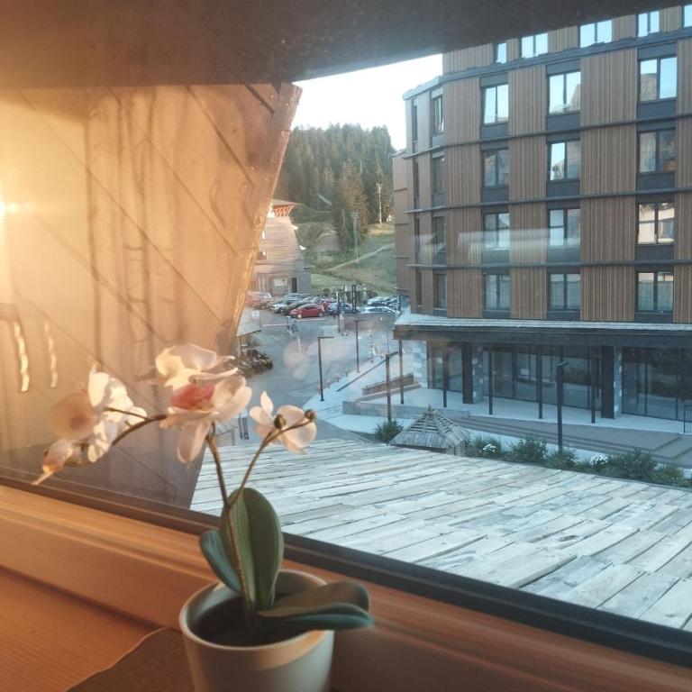 Konaci 119 - Apartman sa 1 Spavaćom Sobom - 19