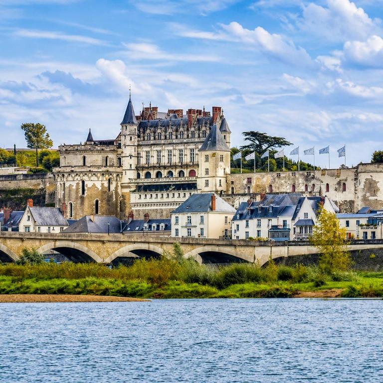 LA Grâce d'Amboise - Maison 2 Chambres - 8