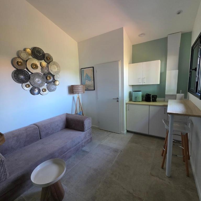 maison indépendante, 30m carré, entrée privée parking sécurisé - Appartement 1 Chambre - 3