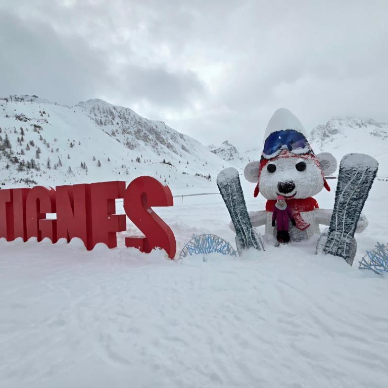Cozy Nest - Tignes le Lac - Ski in-out - Appartement 1 Chambre - 28