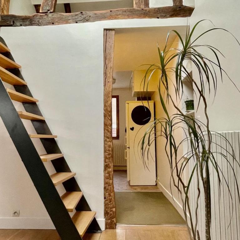 Marais 4e Appartement sous les toits avec mezzanine par Mey Agency - Appartement 3 Chambres - 6