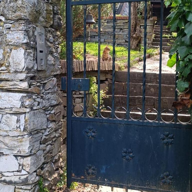 La Tigula - Maison de Vacances - 3