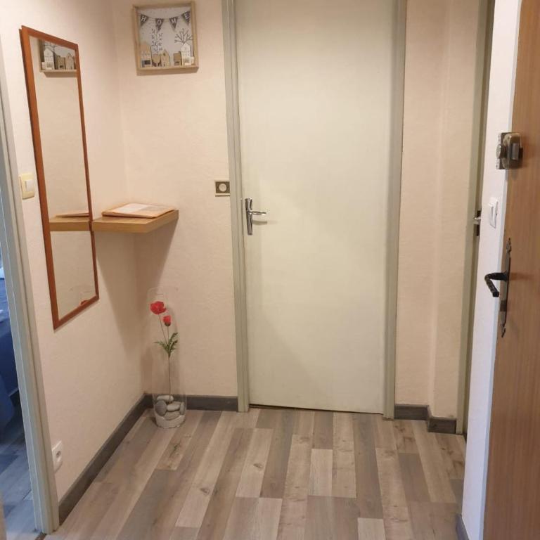appartement T1 Camille et anthony AVEC PARKING - Appartement 1 Chambre - 4