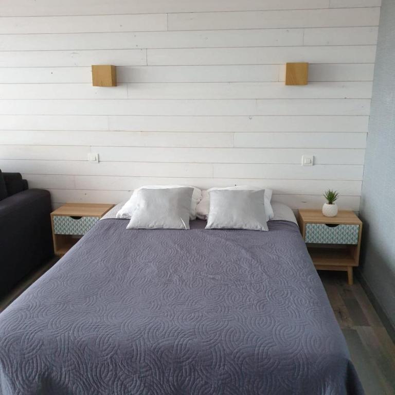 appartement T1 Camille et anthony AVEC PARKING - Appartement 1 Chambre - 10