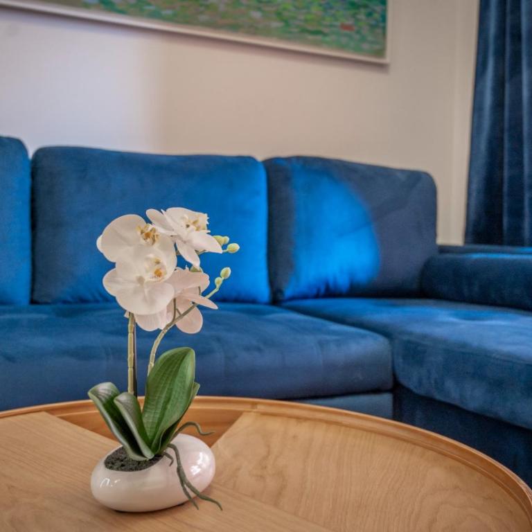 Sea View Don Juan Beach Resort - Apartamento de 1 dormitorio - 20