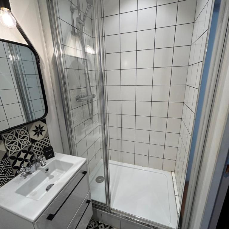 BELLE REINE - 3 APPARTEMENTS EN COEUR DE CENTRE-VILLE - Estudio Deluxe - 9